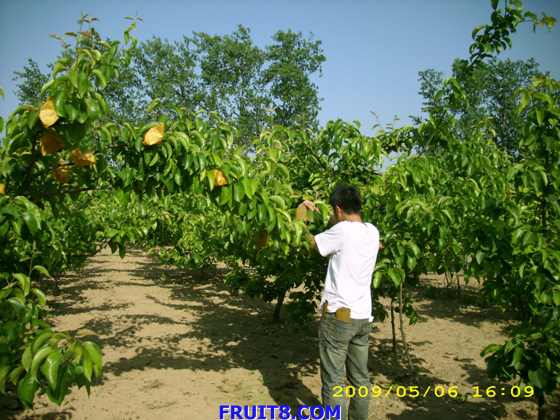 DSCI0524.JPG