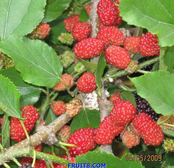 ��Ƭ 058.jpg
