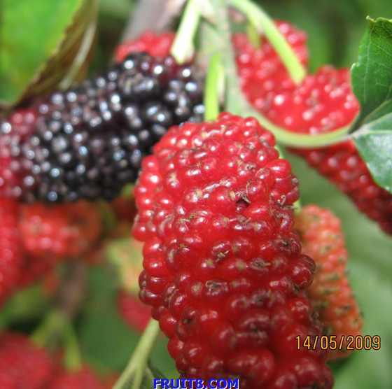 ��Ƭ 053.jpg