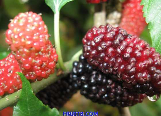 ��Ƭ 054.jpg