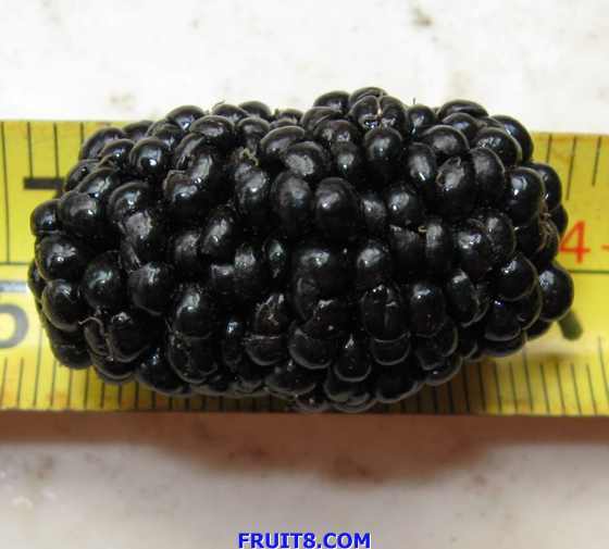 ��Ƭ 088.jpg