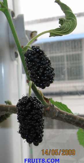 ��Ƭ 086.jpg