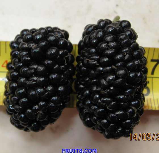 ��Ƭ 087.jpg