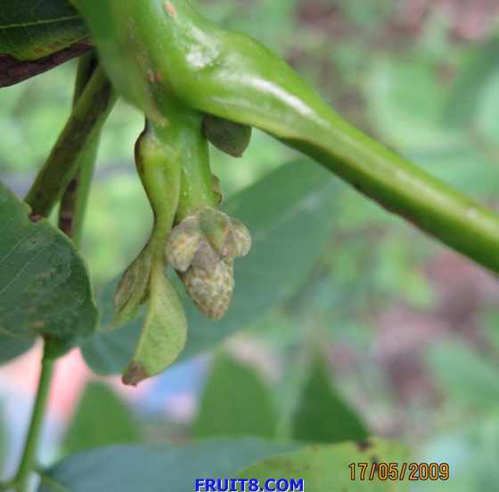 ��Ƭ 020.jpg