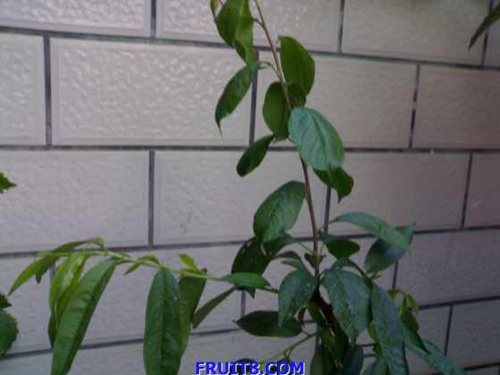 20090504512.jpg