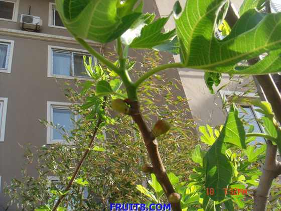 nEO_IMG_DSC03622.jpg