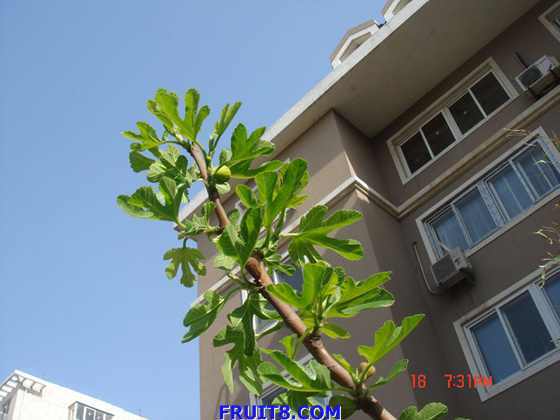nEO_IMG_DSC03618.jpg