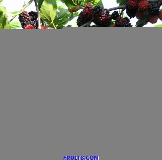 Ƭ 049.jpg