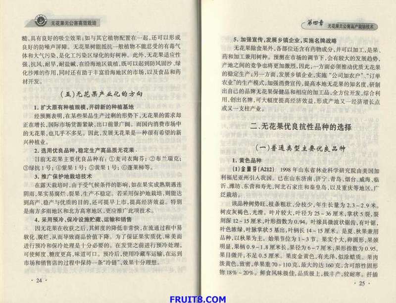 Resize of 3.JPG