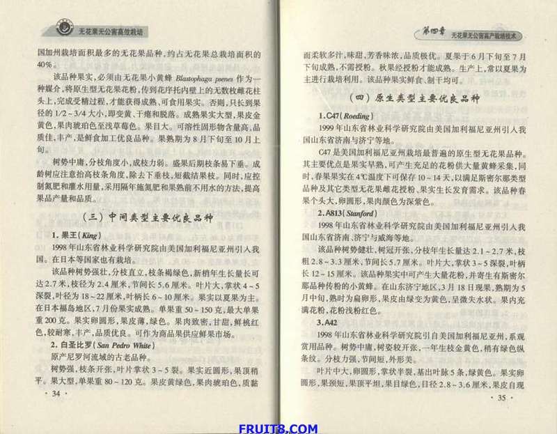 Resize of 8.JPG