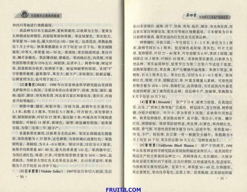 Resize of 6.JPG
