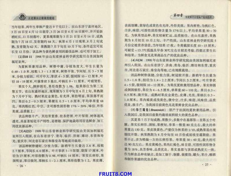 Resize of 4.JPG