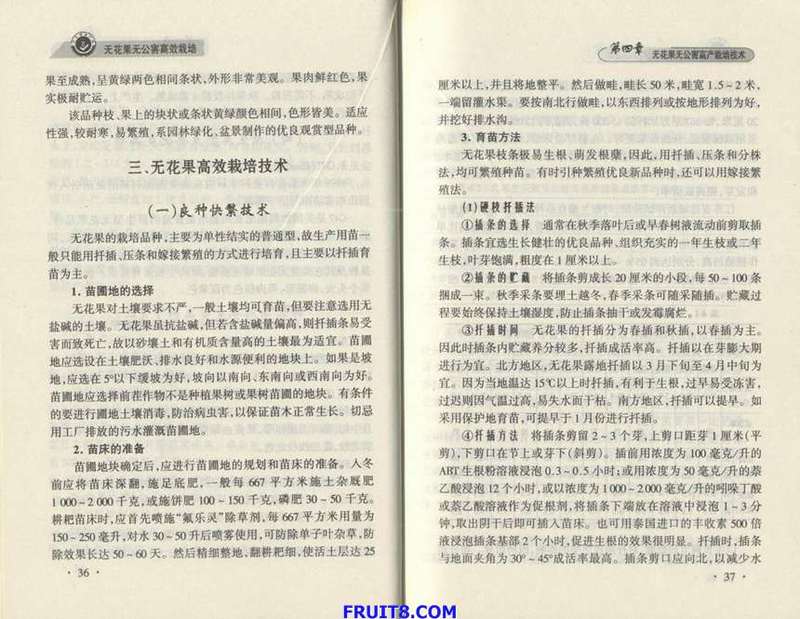 Resize of 9.JPG