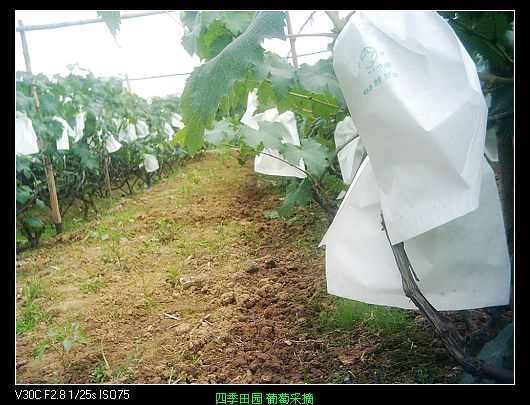 nEO_IMG_PIC_0397.jpg
