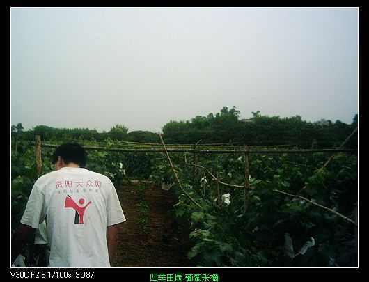 nEO_IMG_PIC_0401.jpg