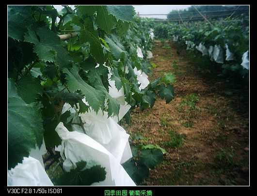 nEO_IMG_PIC_0396.jpg