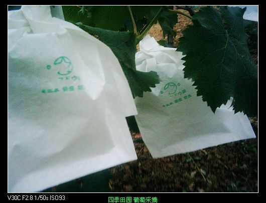 nEO_IMG_PIC_0394.jpg