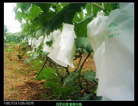 nEO_IMG_PIC_0404.jpg