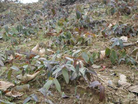20090130_b0af43380d9d0ddef9f7EXSutZQojAC8[1].jpg