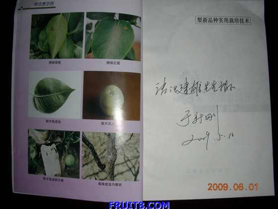 DSCN6650.JPG