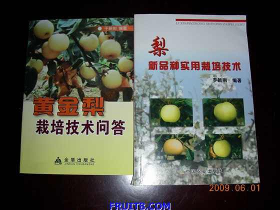 DSCN6646.JPG