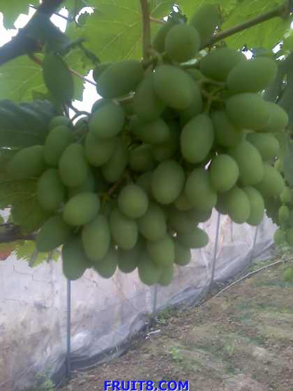 ת 01-06-09_1804.jpg