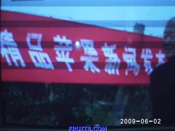 PHOT0002.JPG