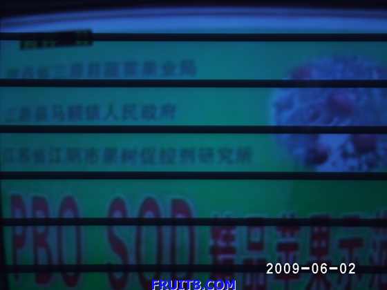 PHOT0005.JPG