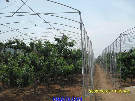 SDC10155.JPG
