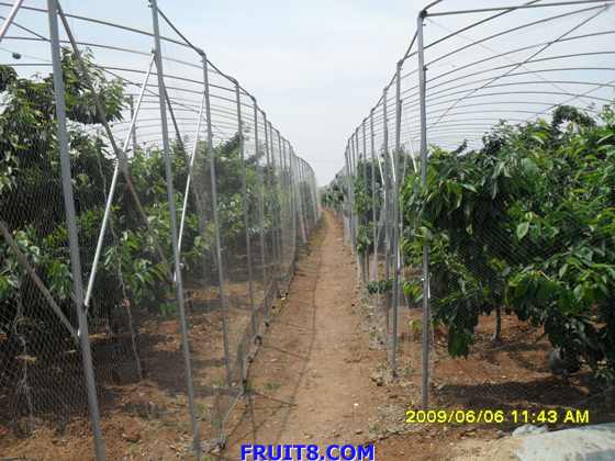 SDC10157.JPG