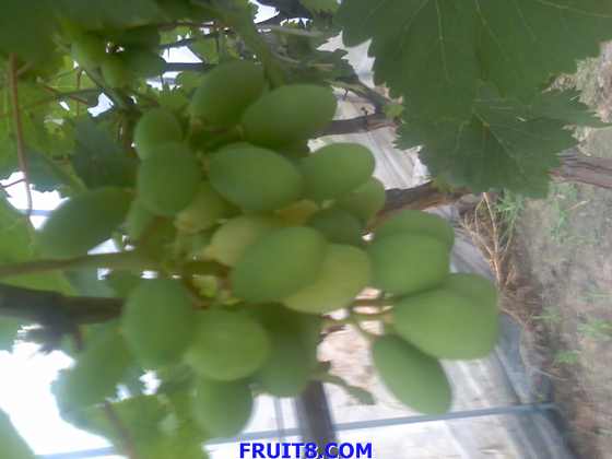 01-06-09_1800.jpg