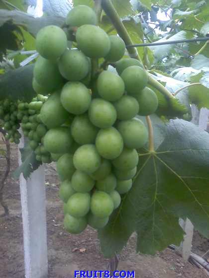 ת 08-06-09_1431.jpg