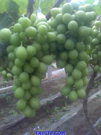 ת 09-06-09_1052.jpg