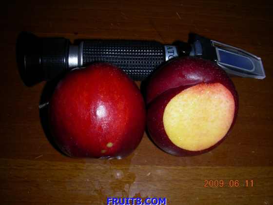 DSCN6906.JPG