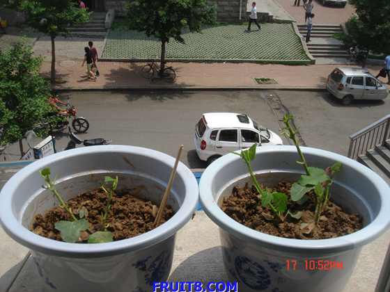 nEO_IMG_DSC04040.jpg