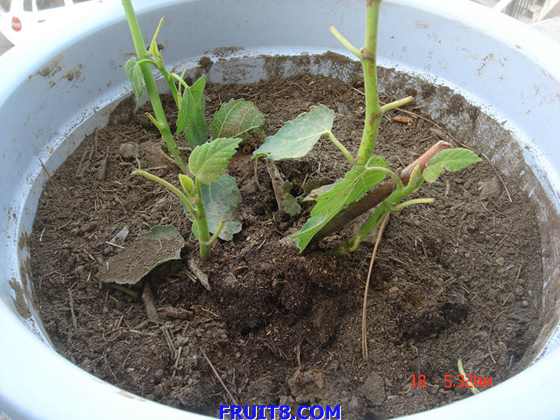 nEO_IMG_DSC04048.jpg