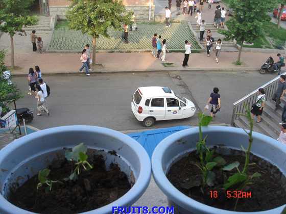 nEO_IMG_DSC04043.jpg