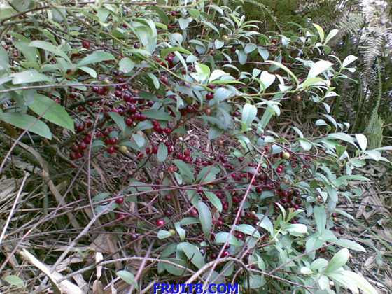 20090617_001.jpg