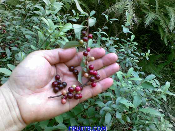 20090617_008.jpg