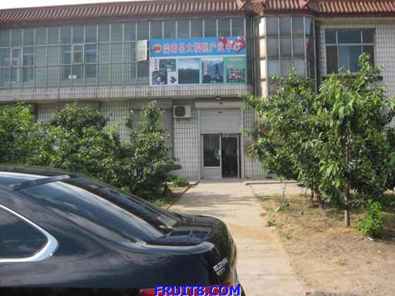 tangshan&shandong 048.jpg