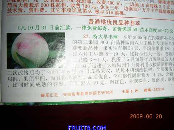 DSCN7167.JPG