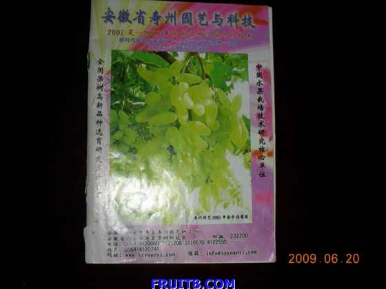 DSCN7163.JPG