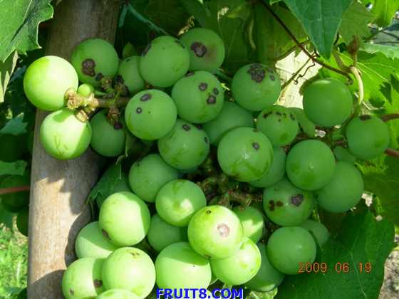 DSCN7105.JPG