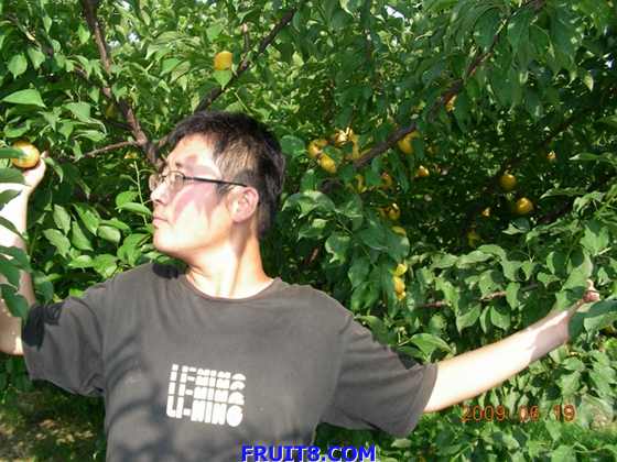 DSCN7133.JPG