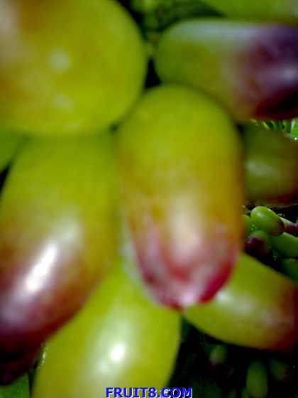 20090620159.jpg