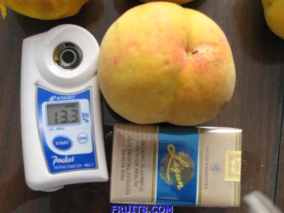 ��Ƭ 064 (����).jpg