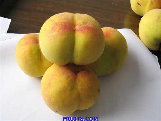 ��Ƭ 065 (����).jpg