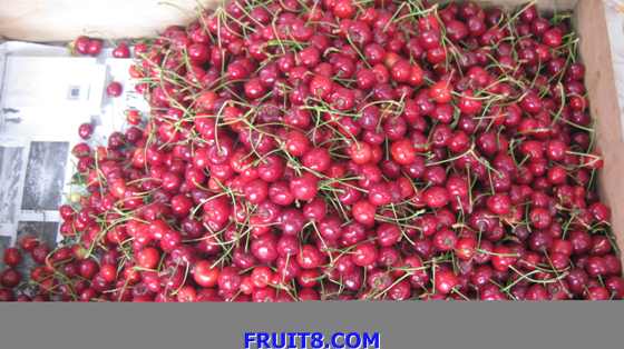 tangshan&shandong 282.jpg