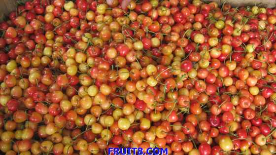 tangshan&shandong 283.jpg