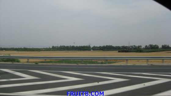 tangshan&shandong 299.jpg